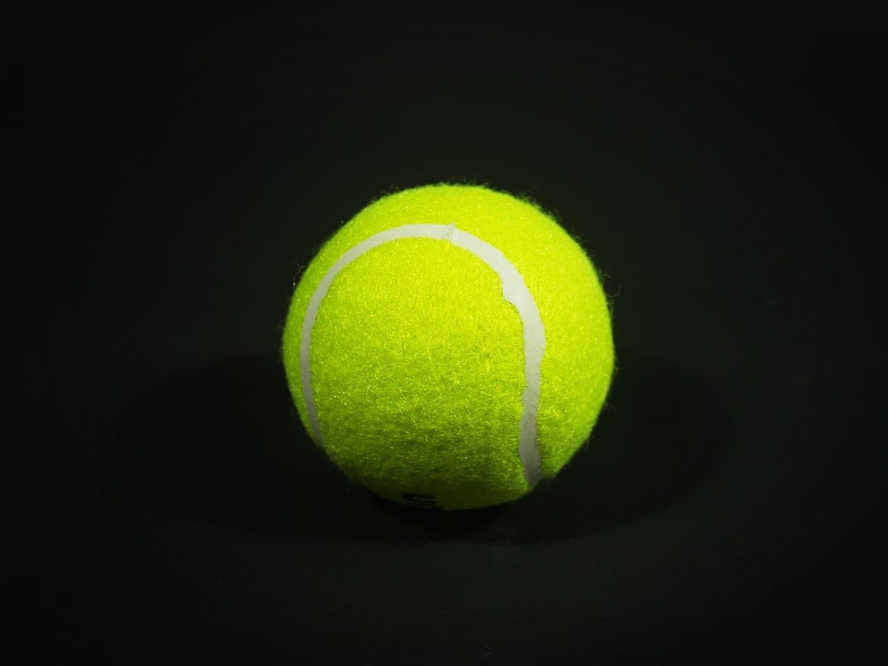 Miami Open 2025: Tudo que Você Precisa Saber sobre o Torneio