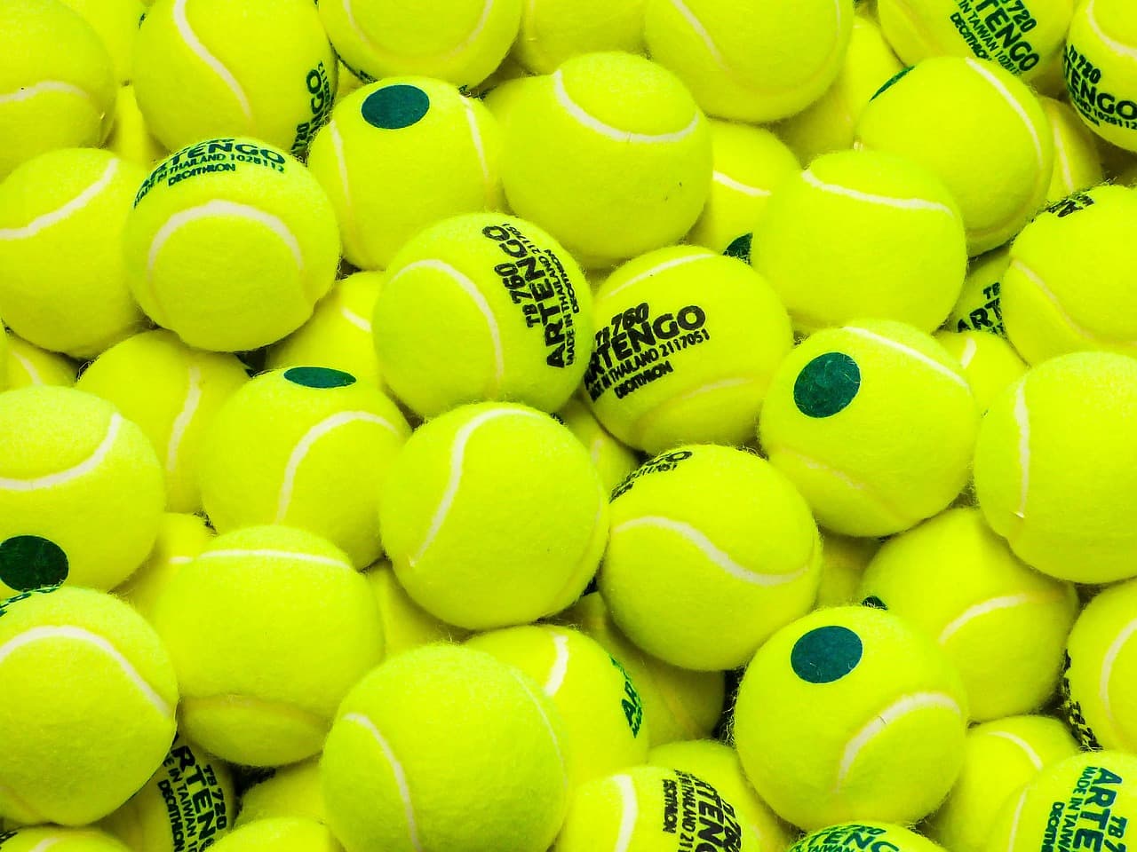 A Amizade Crescente entre Djokovic e Murray: Jantares, Golfe e Tênis