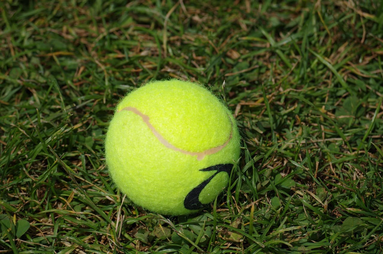 Miami Open 2023: Um Sucesso Com Recorde de 400.000 Espectadores