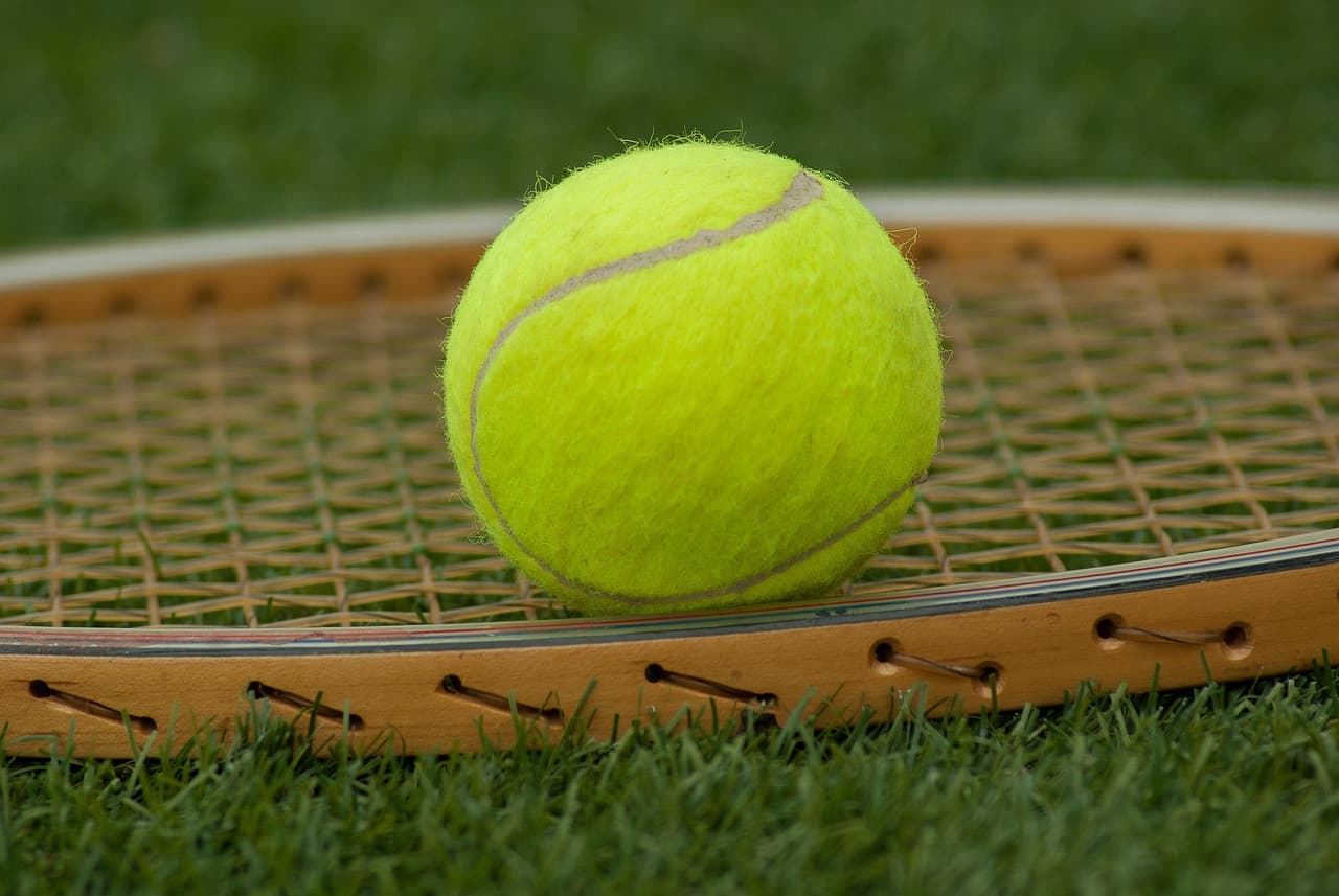 Lenda do Tênis: Novak Djokovic e seus desafios na busca pelo Slams