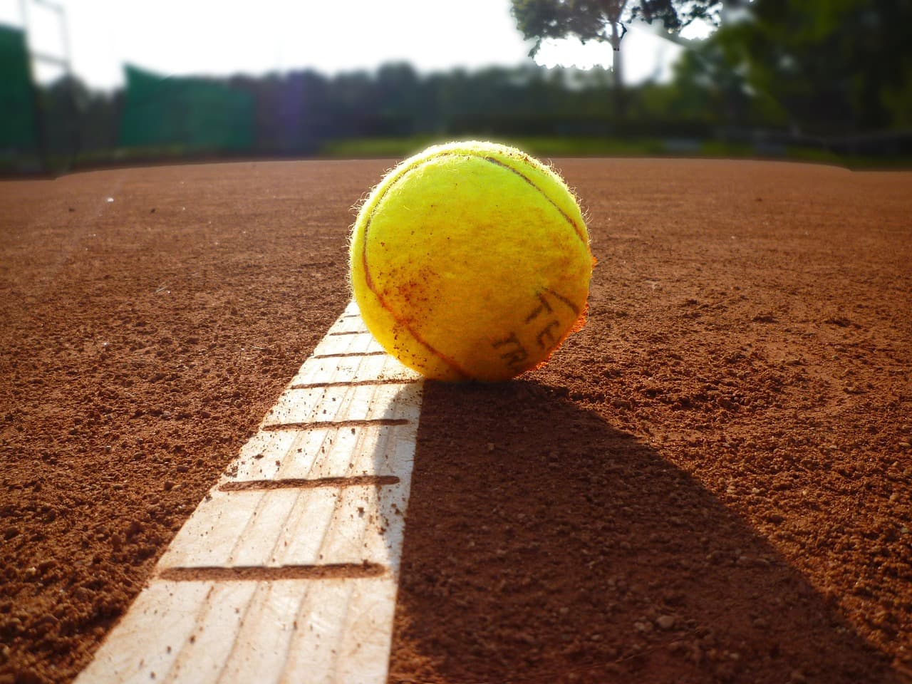 Carlos Alcaraz: O Favorito Claro para Conquistar Roland Garros Novamente