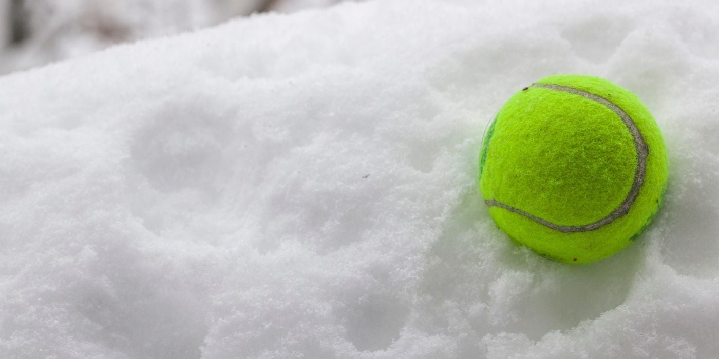 Tennis ball on snow helping wildlife in winter