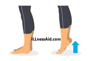 Exercícios de elevação de panturrilha para prevenção de tennis leg