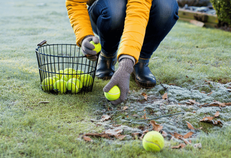 Tennis balls scattered on lawn for birds and hedgehogs in winter