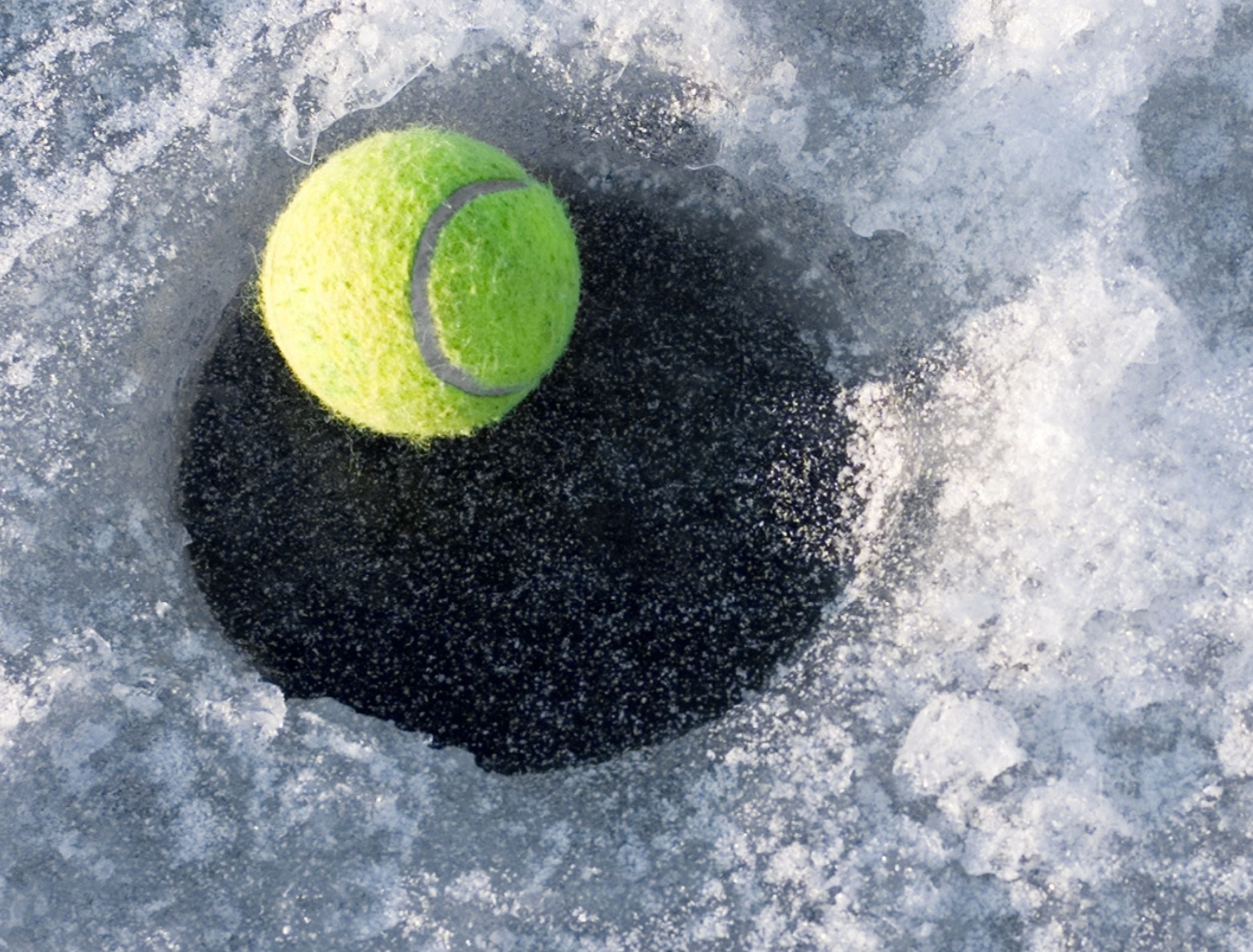 Bola de tênis flutuando em água fria cercada de gelo